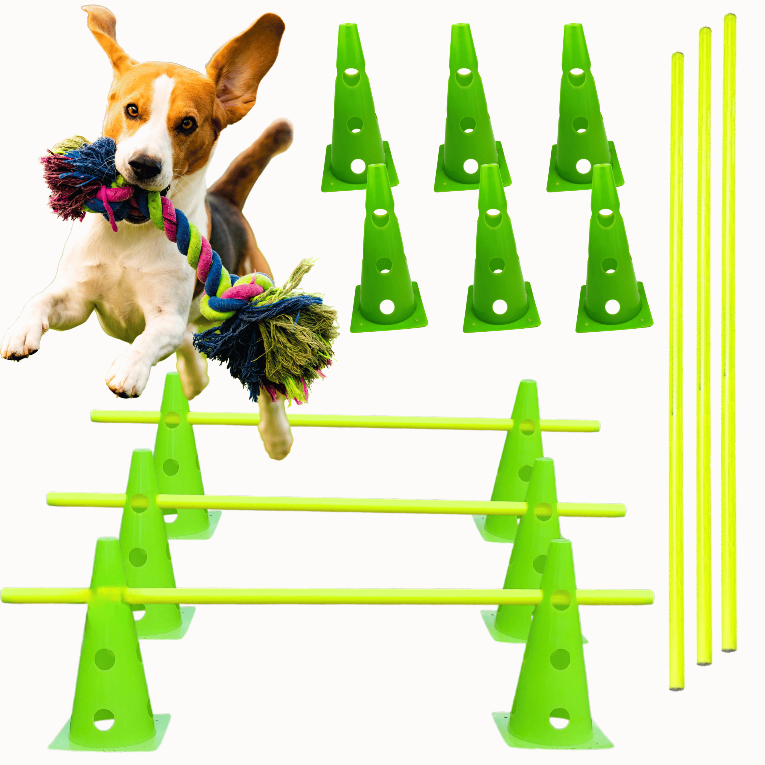 Tor przeszkód dla psa Dog Activity – 6 pachołków zielonych z otworami + 3 poprzeczki 1m do treningu agility