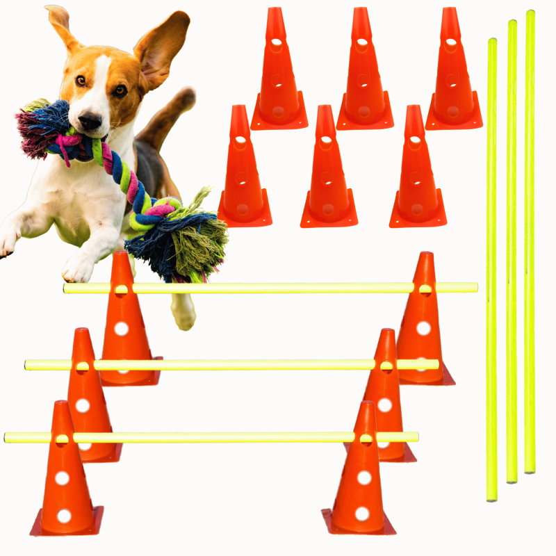 Tor przeszkód dla psa Dog Activity – 6 pachołków czerownych z otworami + 3 poprzeczki 1m do treningu agility