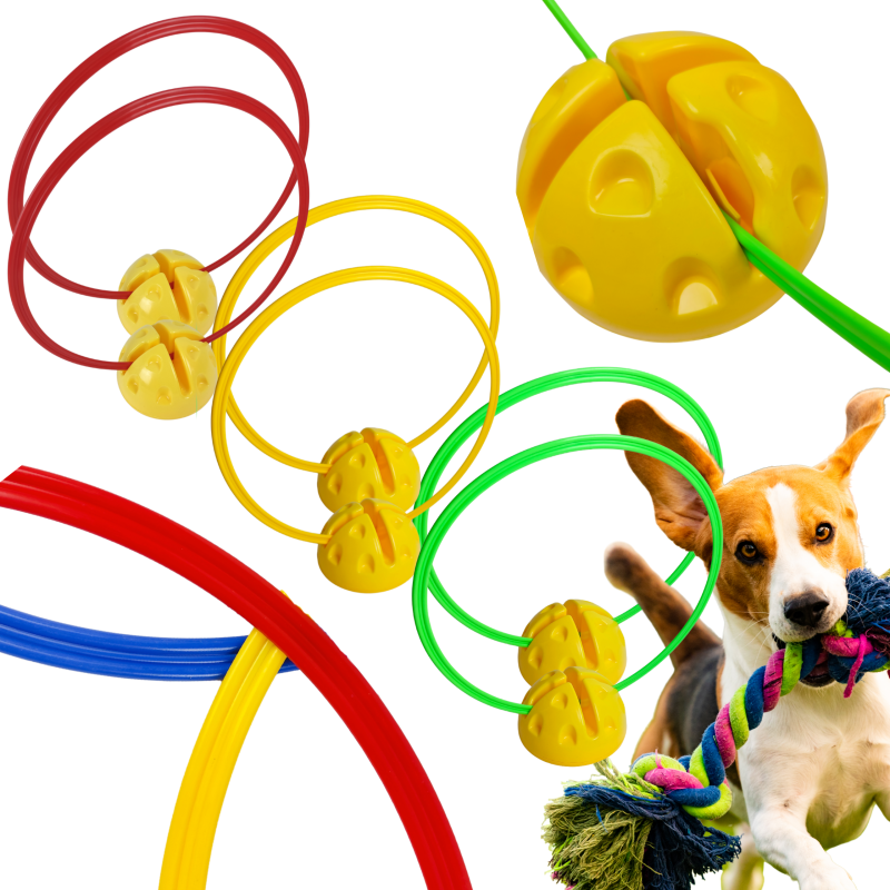 Agility Tor Przeszkód dla Psa – 6 x Kółka 48cm + Podstawy + Torba | Trening i Szkolenie Psów DOG ACTIVITY | Zestaw Agility dla Psa