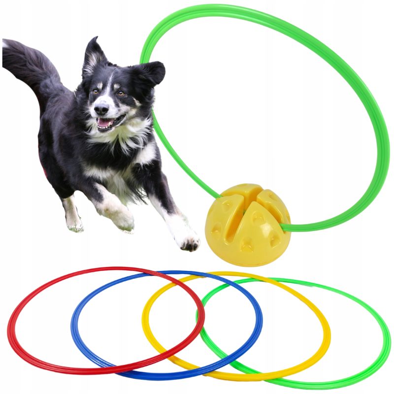 Agility Przeszkoda Kółko dla Psa – Trening i Szkolenie Psów DOG ACTIVITY TRIXIE | Zestaw 1 Kółko + Podstawa 48cm